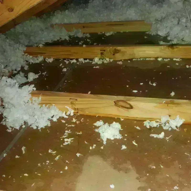 Attic Water Damage in Lincoln County, WV